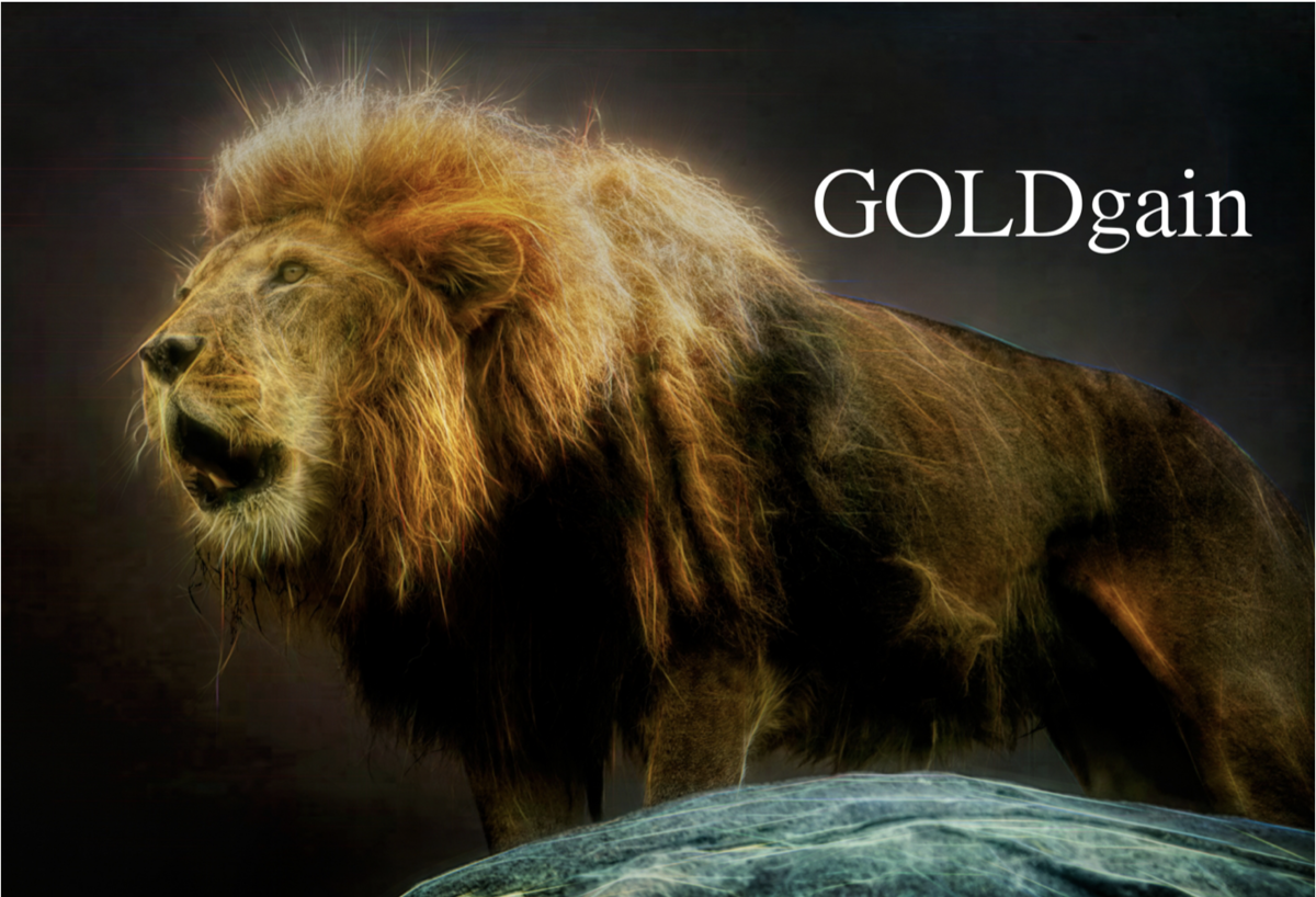 GOLDgain(ゴールドゲイン)は稼げるEA?実績や無料配布の注意点を調査 4 引用元:GOLDgain紹介画像